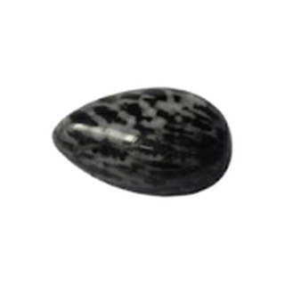 Black Coral cabochon