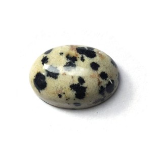 Dalmatian Jasper cabochon
