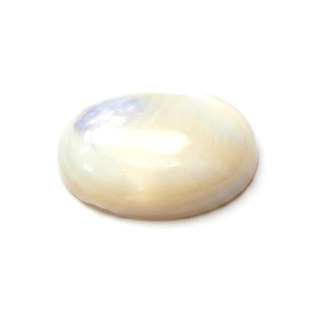 Mother of Pearl cabochon