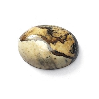Picture Jasper cabochon