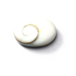 Shiva Eye cabochon
