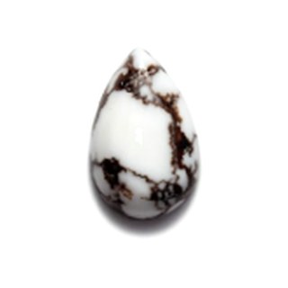 Wild Horse cabochon